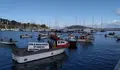 O BNG apoia ao sector pesqueiro e marisqueiro nas súas reivindicacións