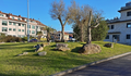 O BNG en Baiona o único en contra da privatización do servizo de mantemento de zonas verdes